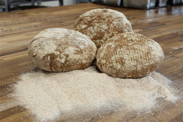 Dagens grovbrød
